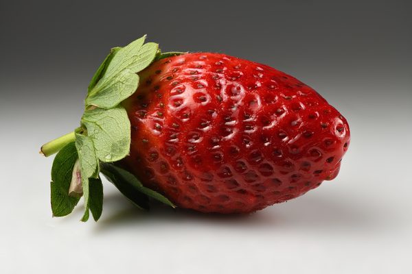 Fresa
