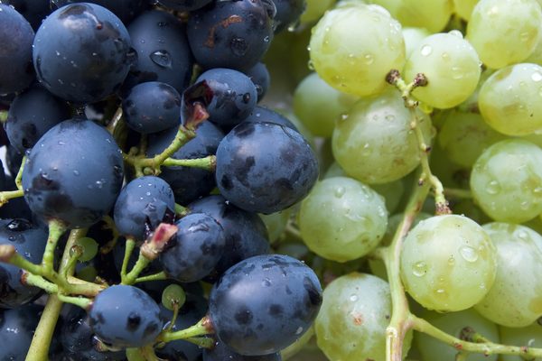Uvas y pasas