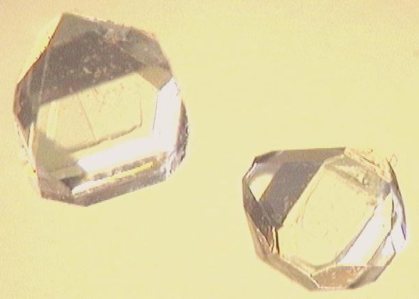 Xilitol