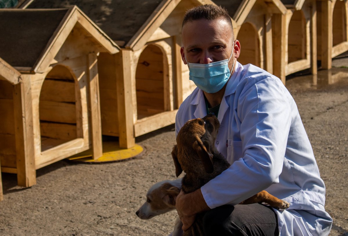 Veterinario con mascarilla sujetando a dos perros pequeños junto a las casetas de una protectora